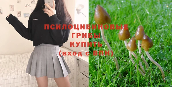 МДПВ Гатчина