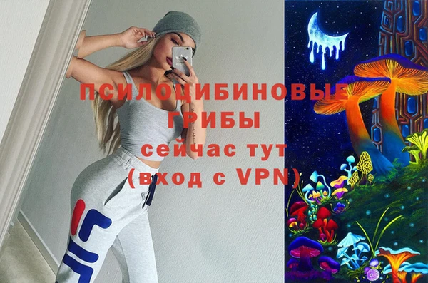 mdpv Сосновоборск