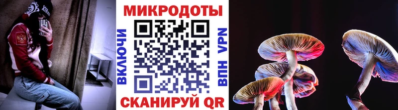 kraken как войти  Белорецк  Галлюциногенные грибы Psilocybe 