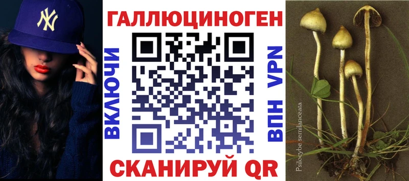 Псилоцибиновые грибы мицелий Белорецк