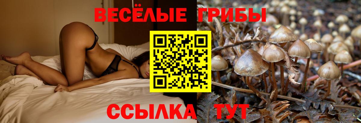 Галлюциногенные грибы GOLDEN TEACHER Белорецк